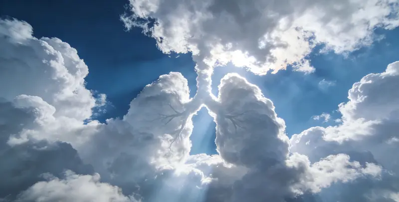 岳阳肺癌靶向120基因检测（组织）图片1