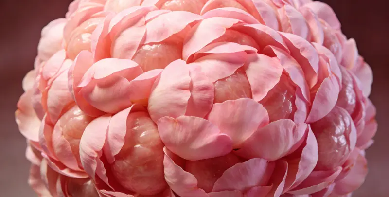 岳阳BRCA1/2乳腺癌卵巢癌基因检测图片1